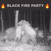 Black Fire - Original